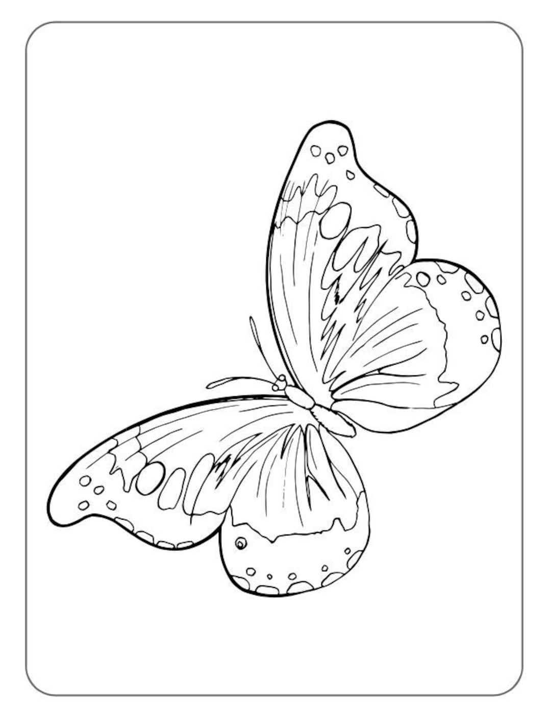 40 Butterfly Coloring Pages Printable Designs For Children digital Download Etsy 40 Butterfly Coloring Pages Printable Designs For Children digital Download Etsy