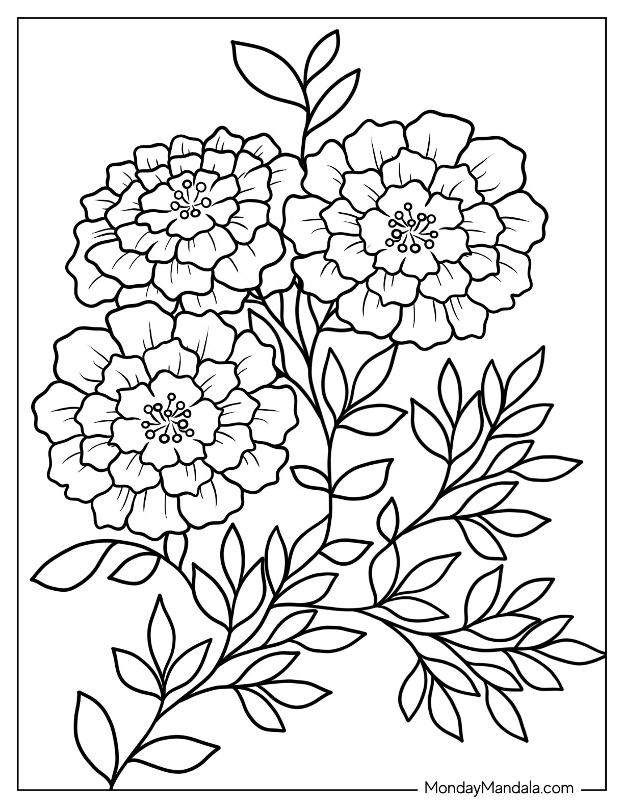 free flower coloring pages printable