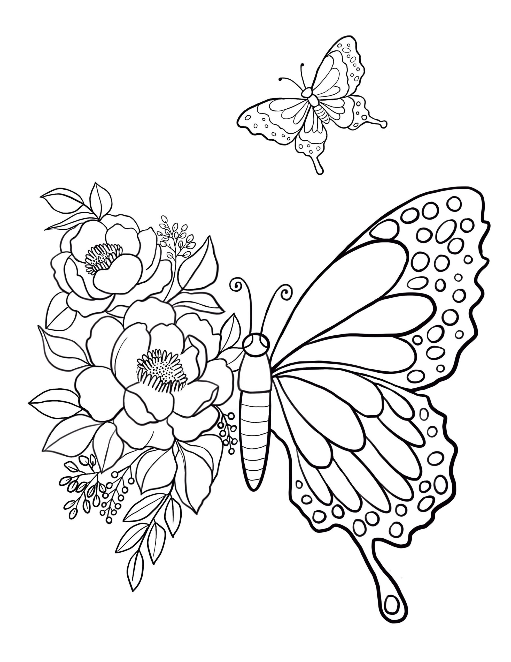 butterfly printable colouring pages