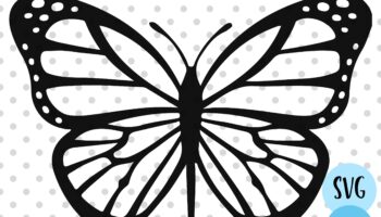Butterfly Svg Butterfly Outline Cut File Silhouette Cricut Etsy