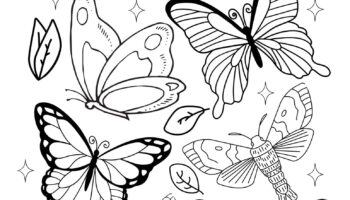 Free Simple Butterfly Coloring Pages Little Moon