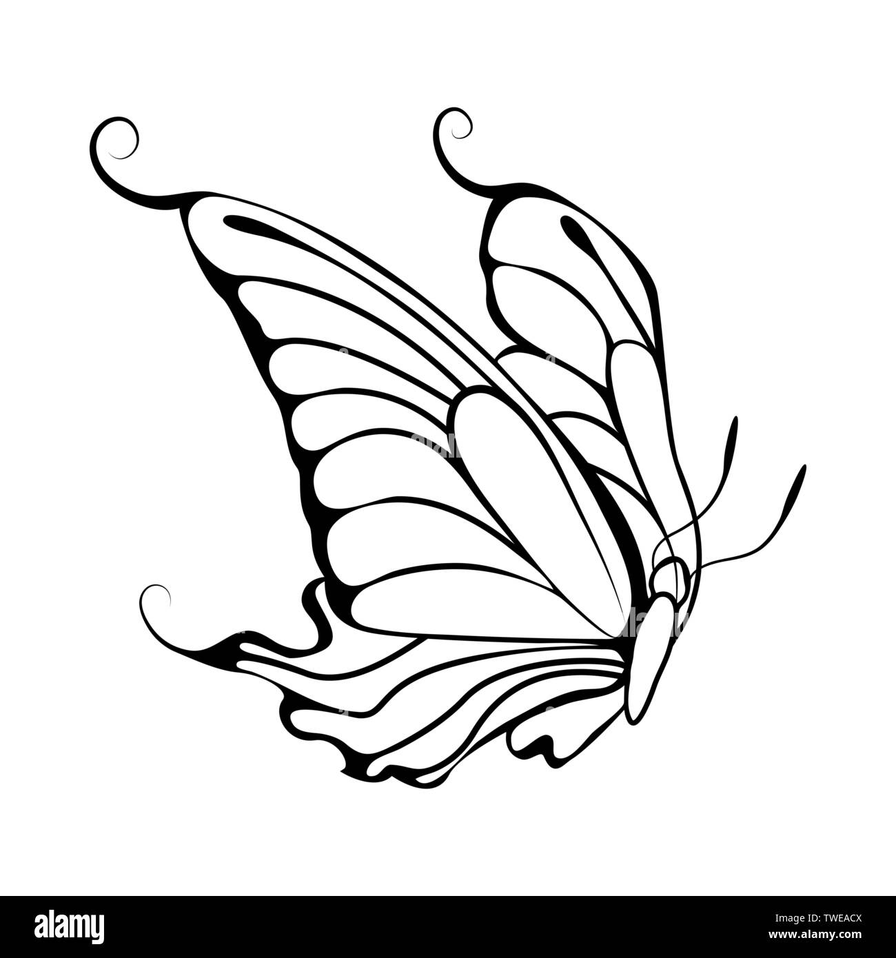 Sketch Of Butterfly Outline Design Vector Illustration Stock Vector Image Art Alamy