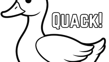 10 Duck Coloring Pages To Print Crafty Morning