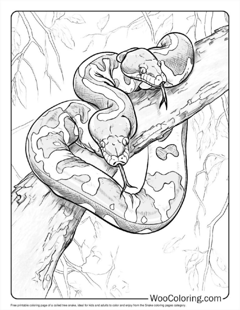 100 Snake Coloring Pages Free PDF To Print Woo Coloring