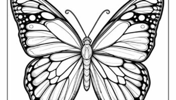 12 Butterfly Coloring Pages Free PDF Printables 