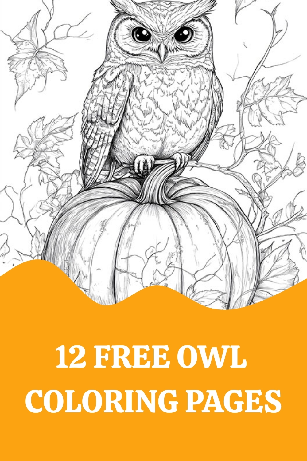 printable owl coloring pages