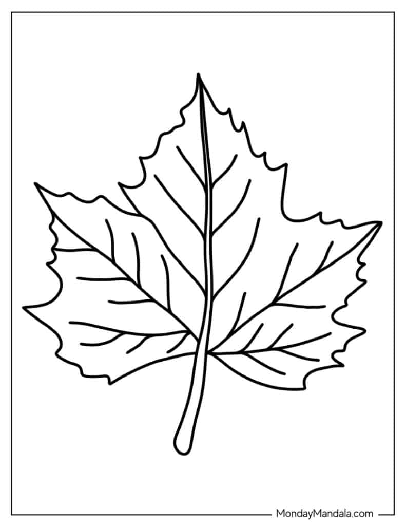 34 Leaf Coloring Pages Free PDF Printables 34 Leaf Coloring Pages Free PDF Printables