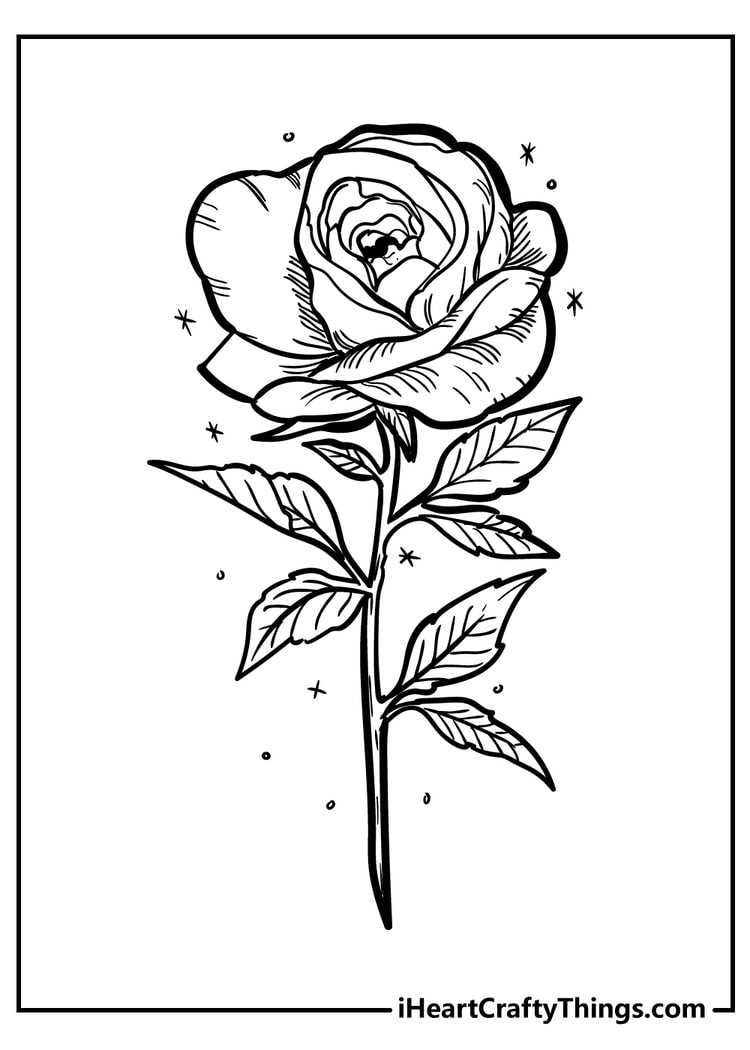 35 Rose Coloring Pages 100 Free To Download Print 