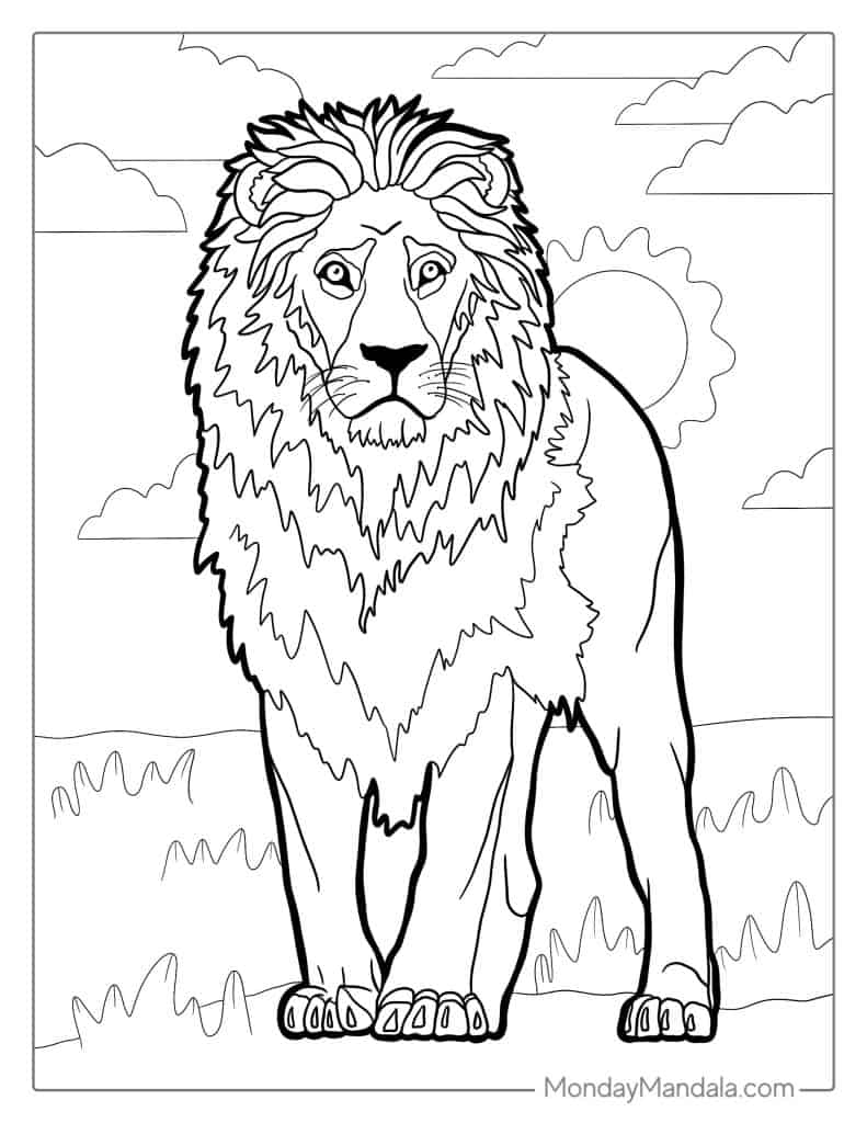 39 Lion Coloring Pages Free PDF Printables 