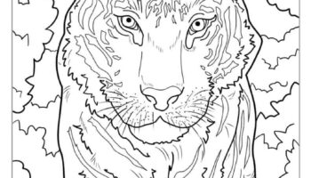 40 Tiger Coloring Pages Free PDF Printables 
