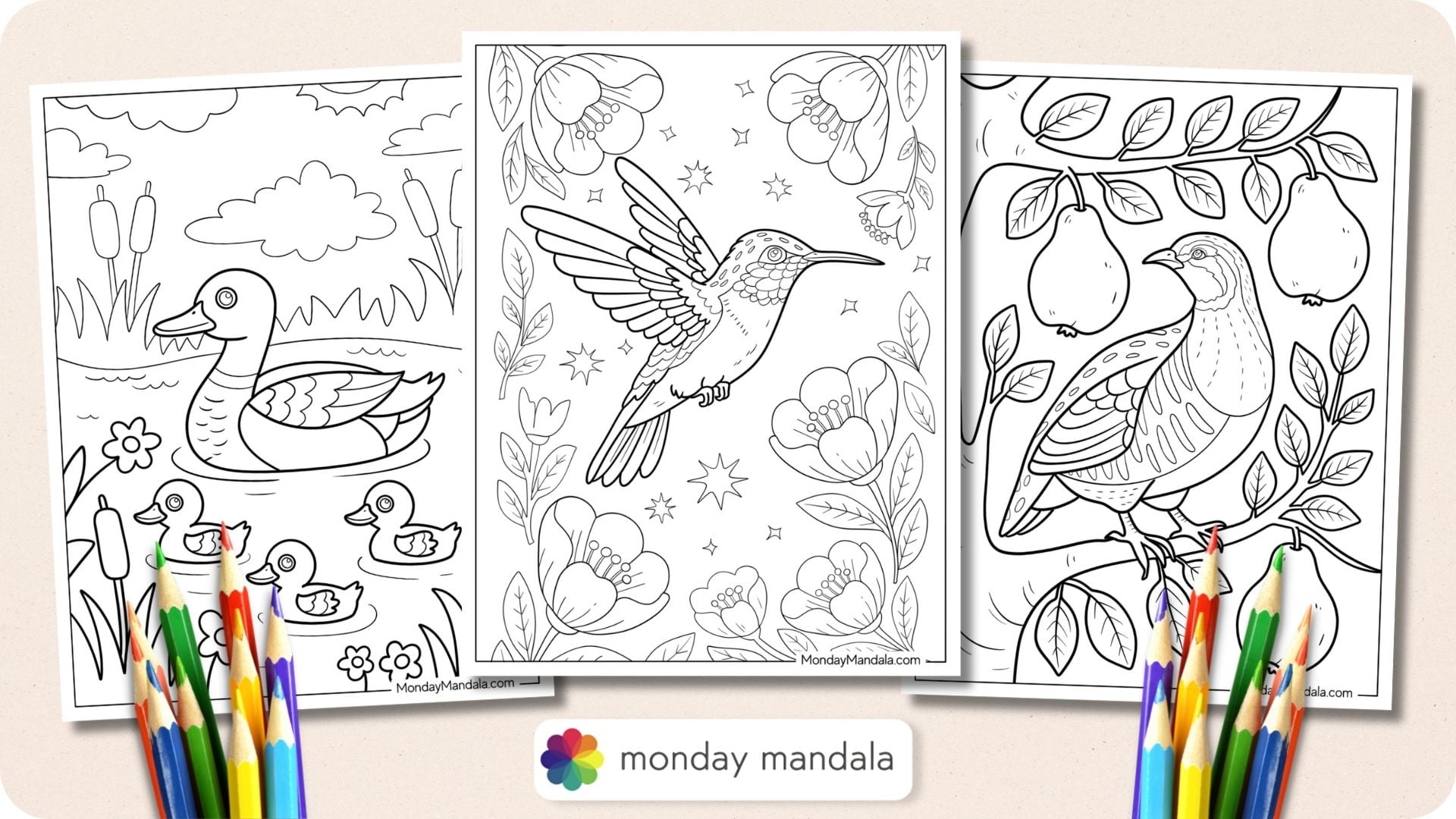 50 Bird Coloring Pages Free PDF Printables 50 Bird Coloring Pages Free PDF Printables