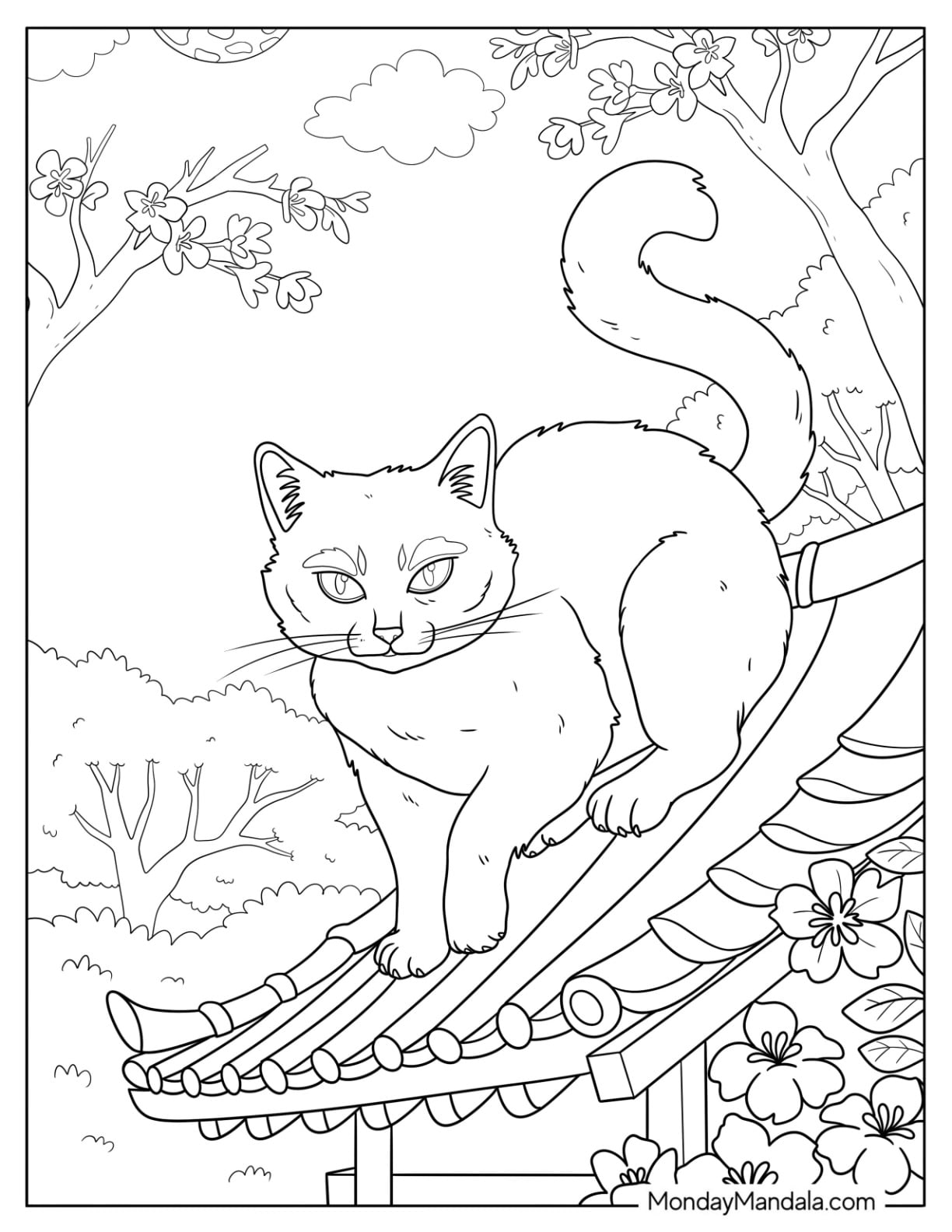 coloring pages of cats printable coloring pages of cats printable