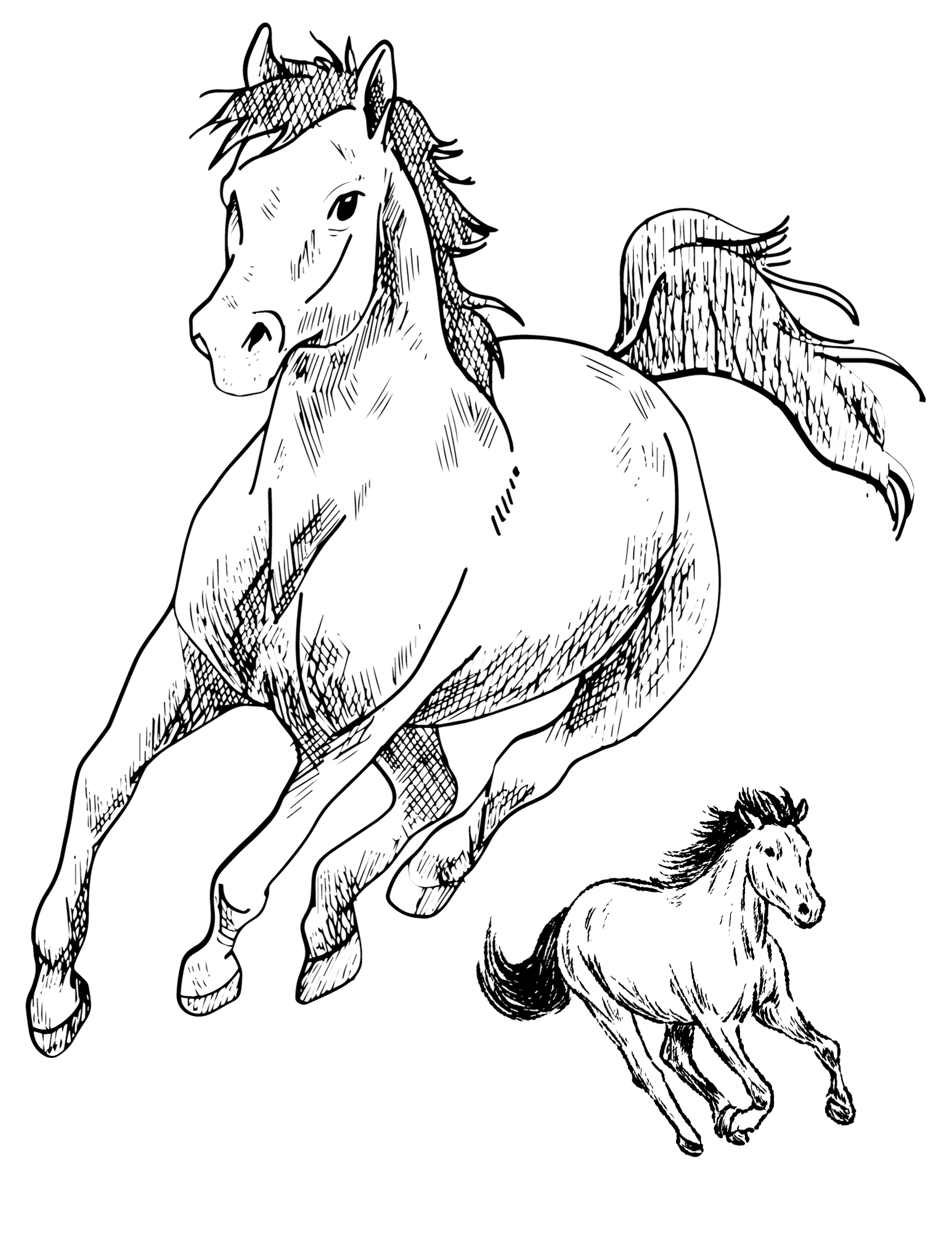 printable coloring pages horses