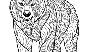 Bear For Adults Coloring Pages Free Printable 