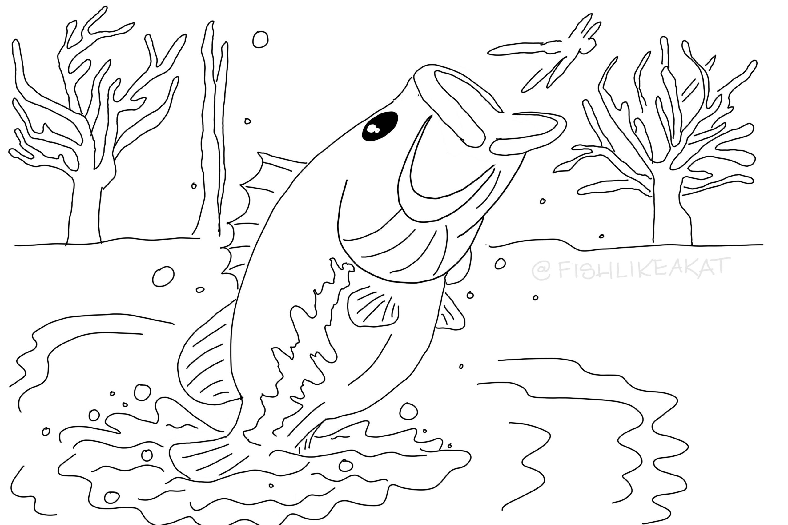 Chillax Color Free Fishing Coloring Pages Chillax Color Free Fishing Coloring Pages
