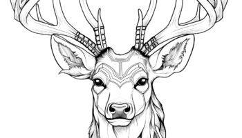 Deer Head Coloring Pages Free Printable 