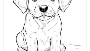 Dog And Puppy Coloring Pages And Coloring Sheets Free Printables Lettering SVG Files Tools Apps