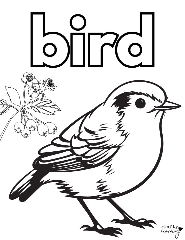 Free Bird Coloring Pages Crafty Morning