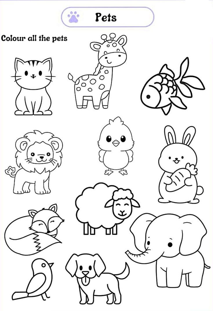 free printable coloring pages of animals