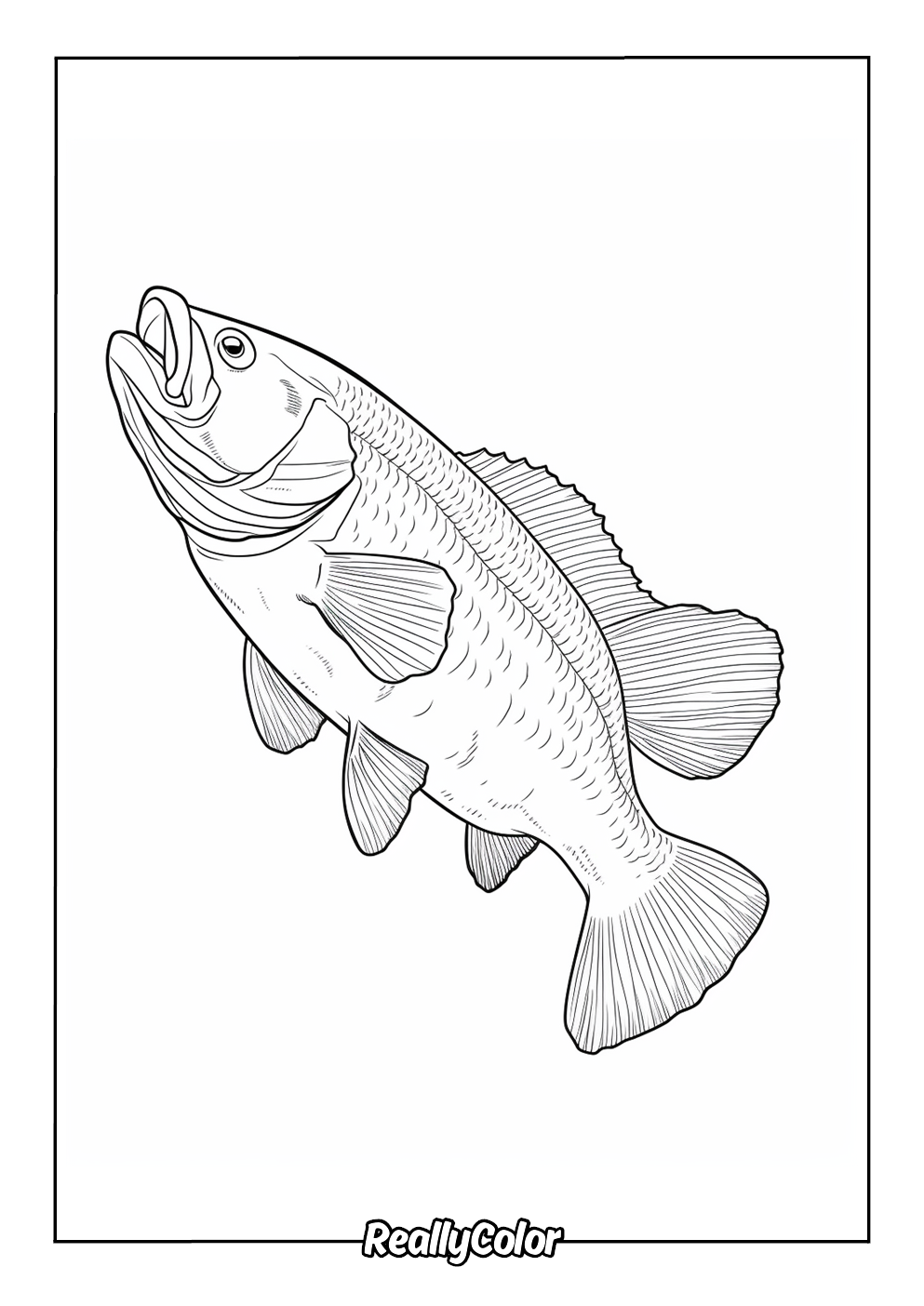 fishing printable coloring pages fishing printable coloring pages