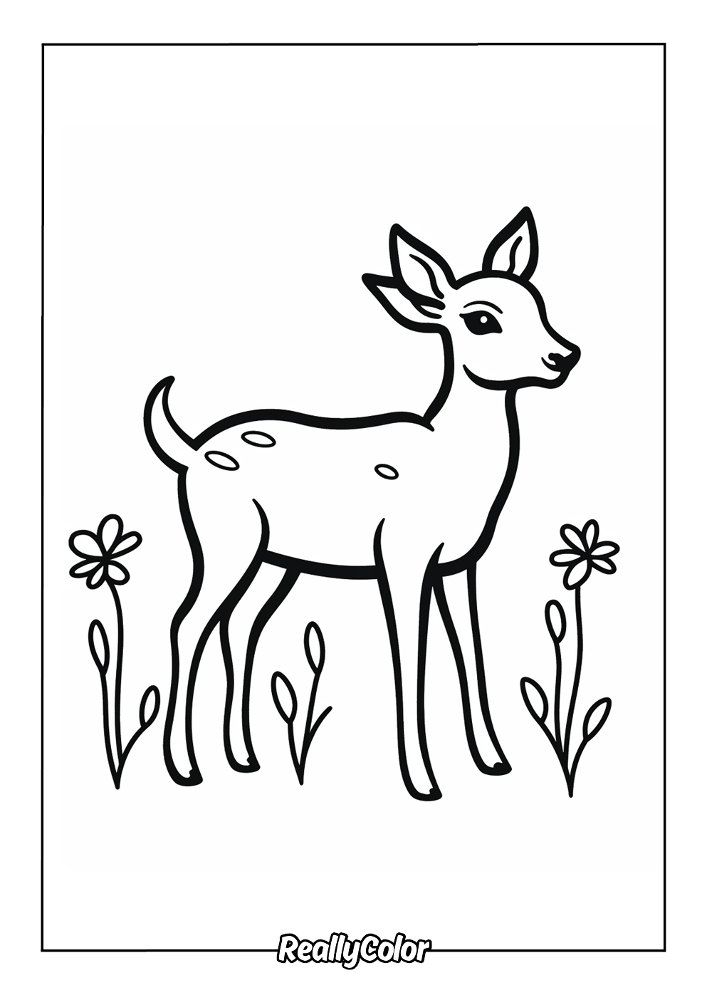Free Printable Deer Coloring Pages