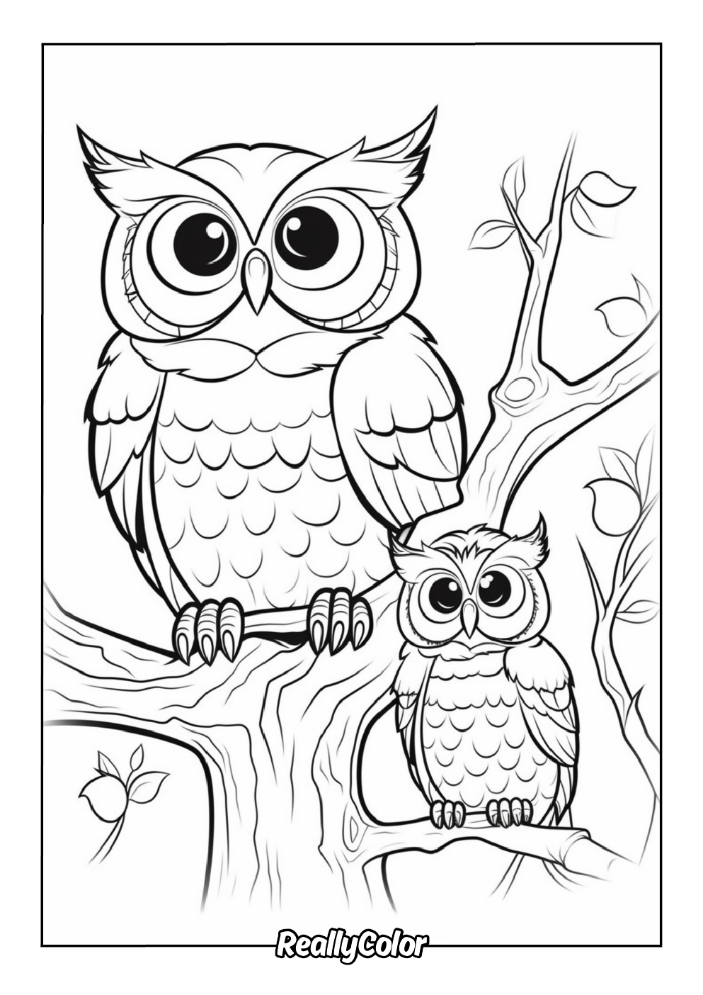 Free Printable Owl Coloring Pages