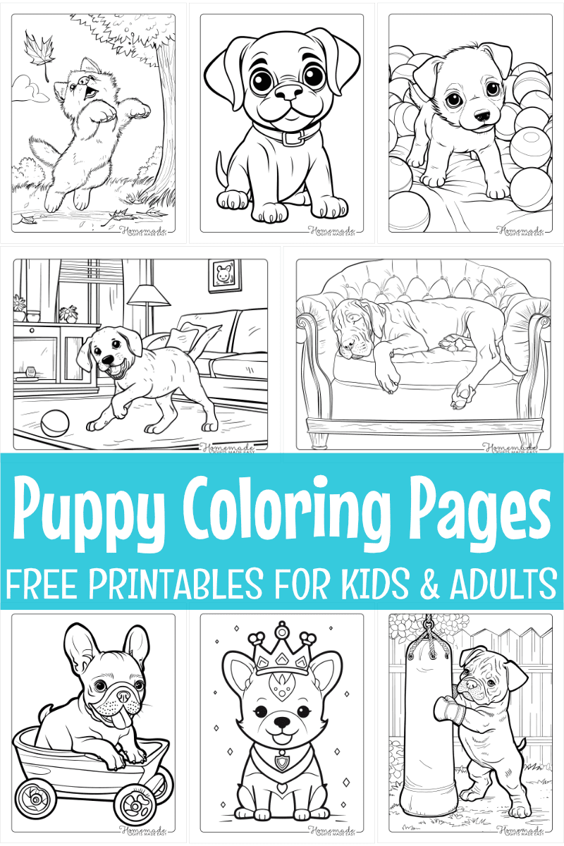 Free Puppy Coloring Pages For Kids Adults PDF Printables Free Puppy Coloring Pages For Kids Adults PDF Printables