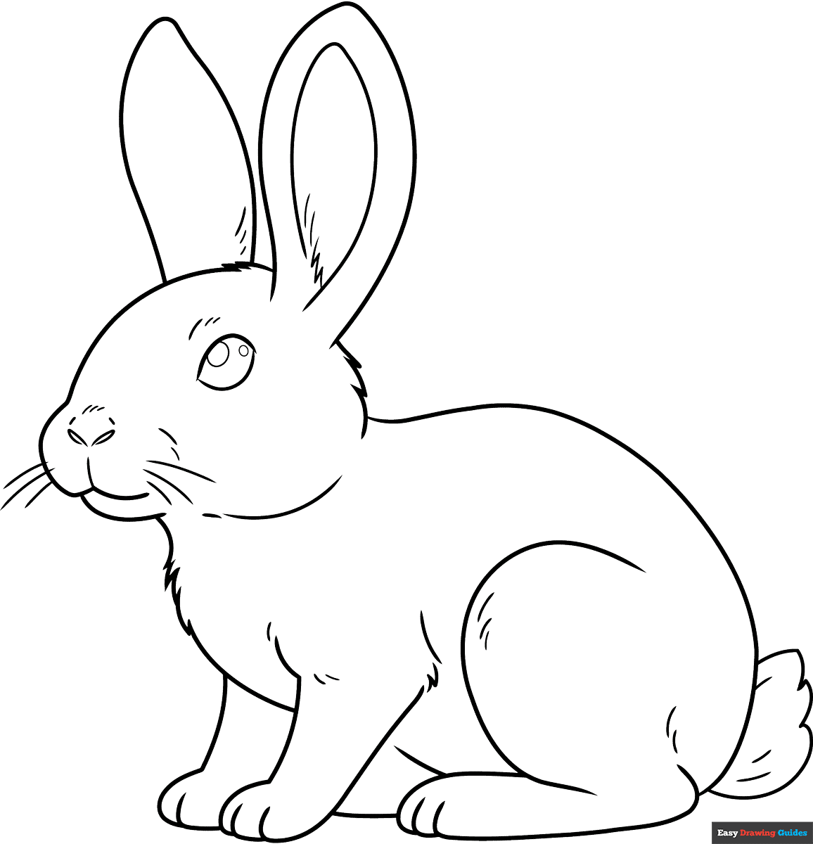Free Rabbits Bunnies Coloring Pages For Kids 18 Printable Sheets