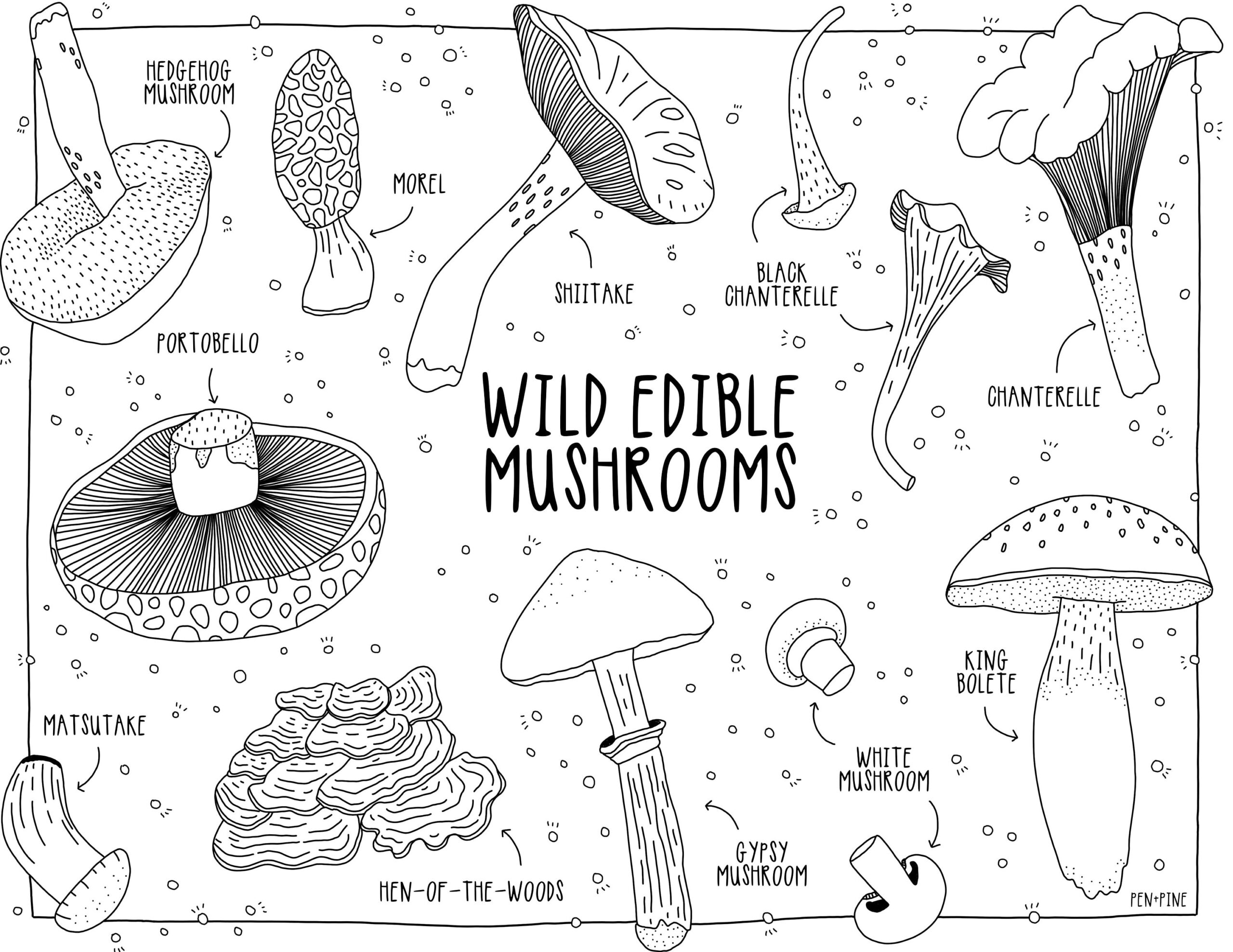 Mushroom Coloring Page Wild Edible Fungi Nature Art PDF Printable Etsy
