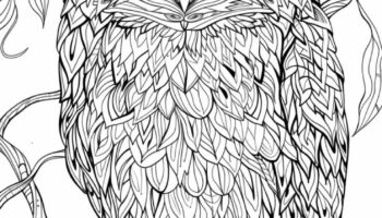 Owl Coloring Page For Adults Free Printable 