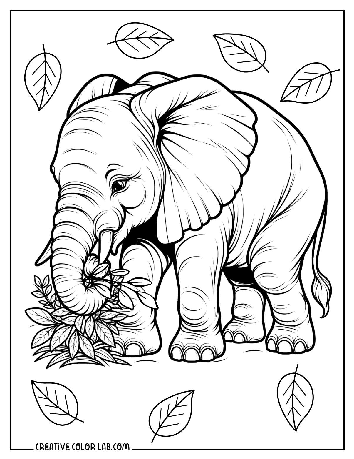 elephant coloring pages printable