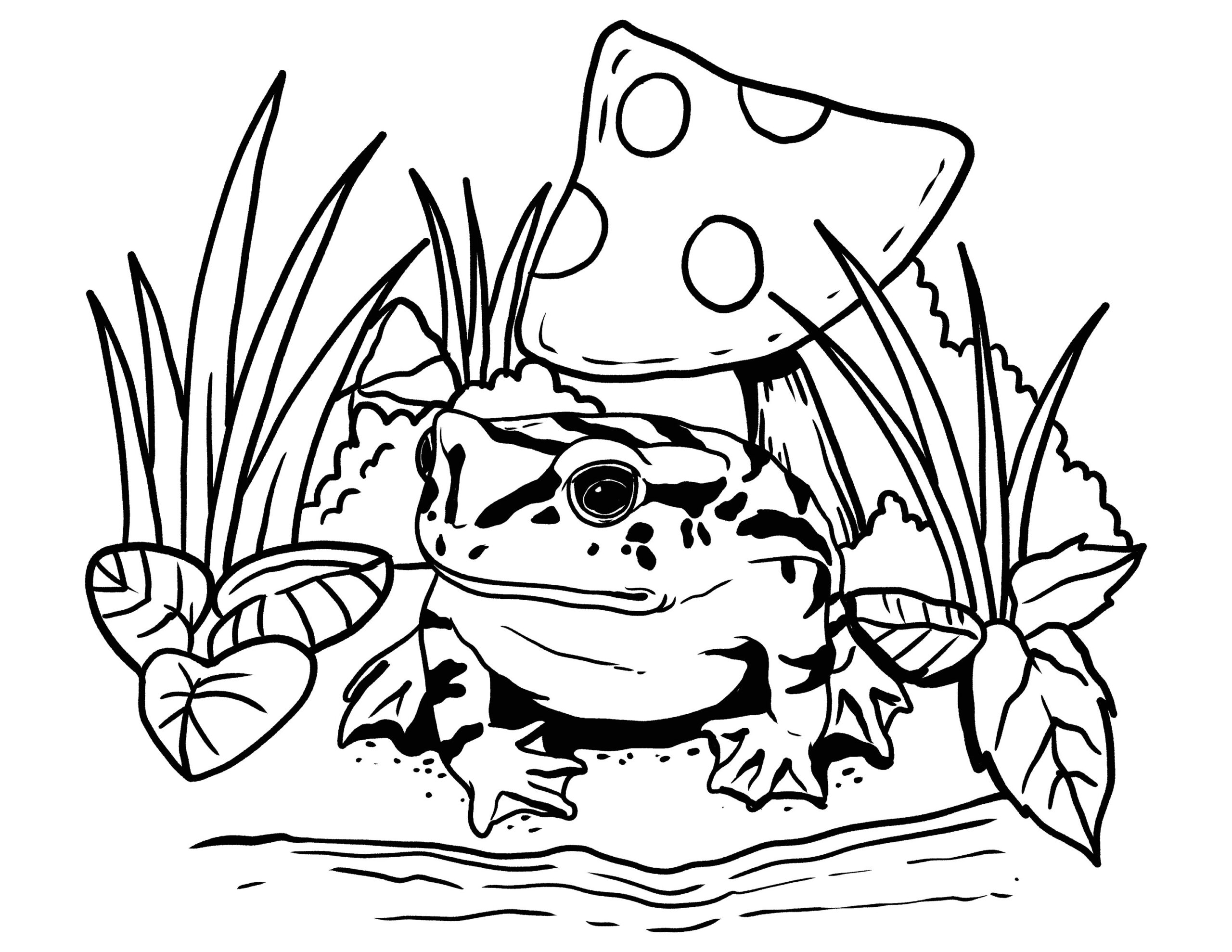 Printable Mushroom And Frog Coloring Page Frogs Lovers Digital Download Spring Coloring Instant PDF Etsy Israel