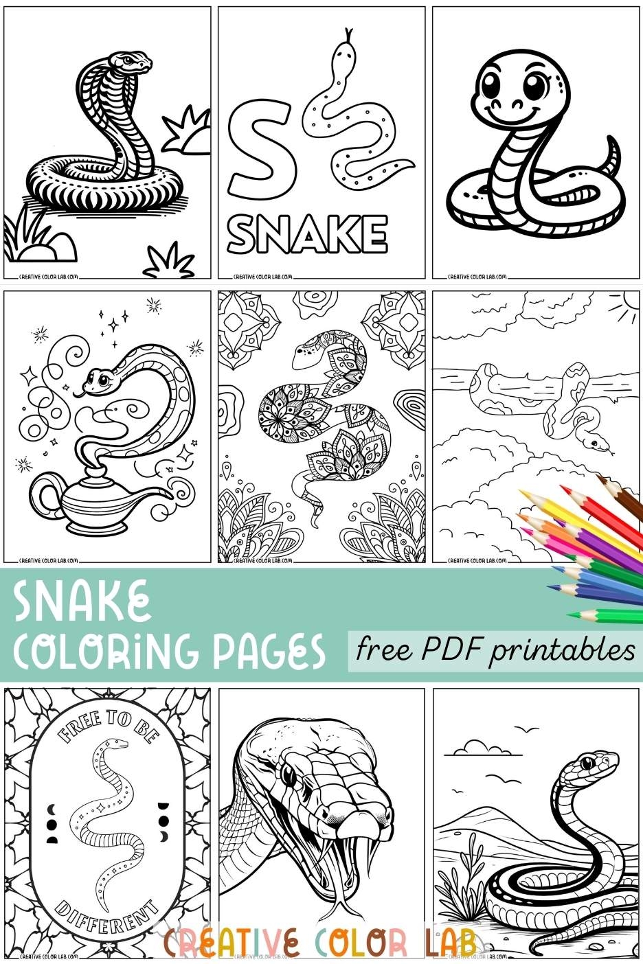 Printable Snake Coloring Pages Free PDFs To Download