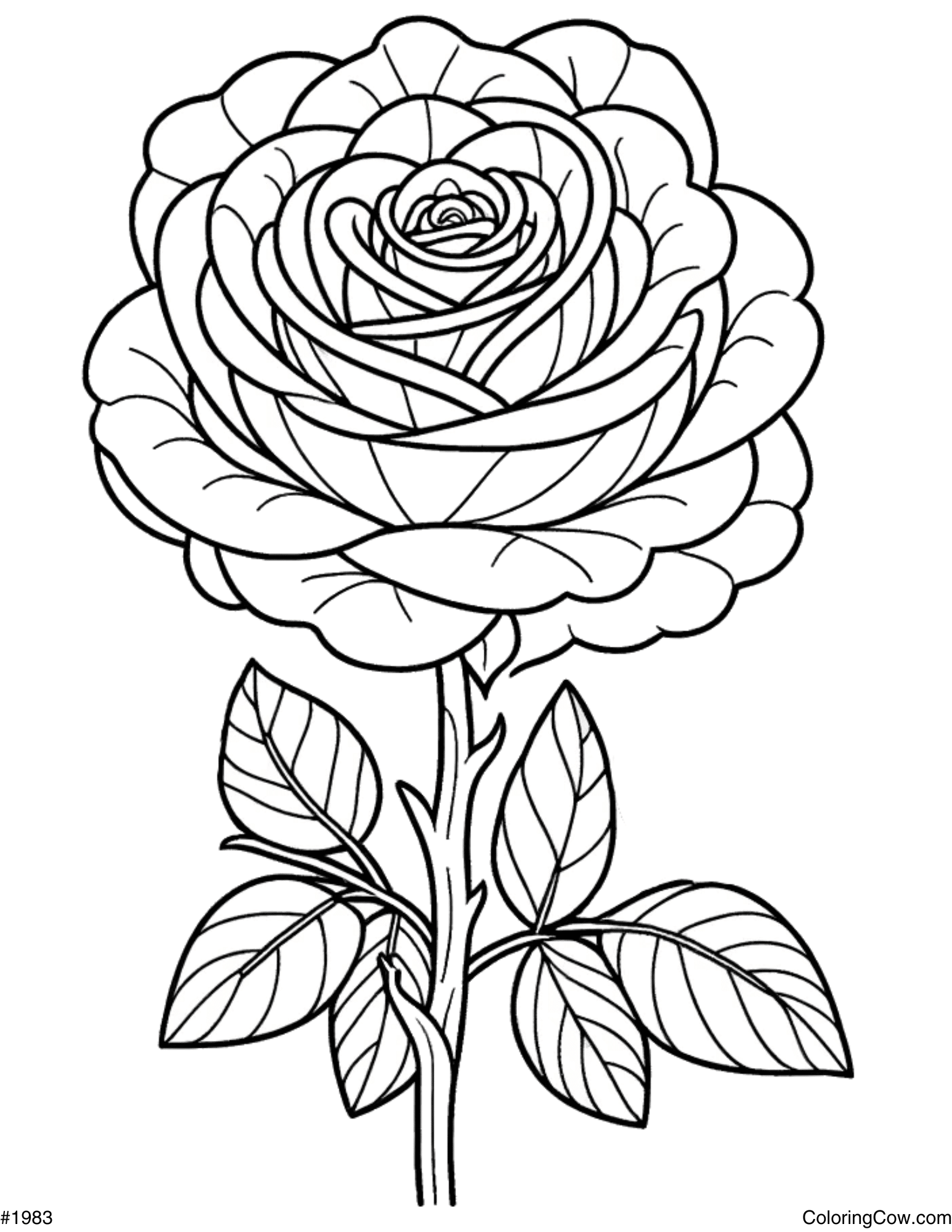 Rose Coloring Page