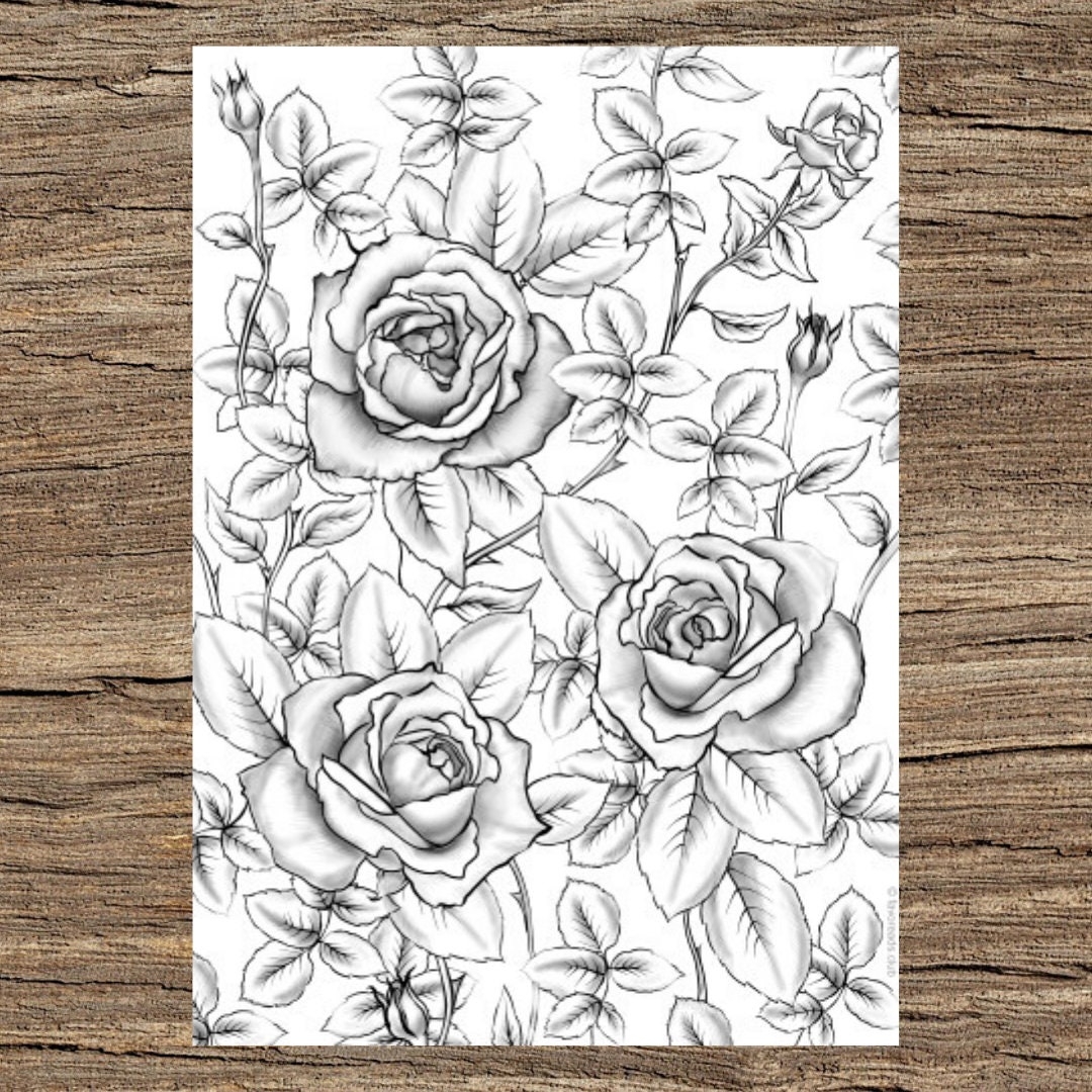 printable rose coloring pages