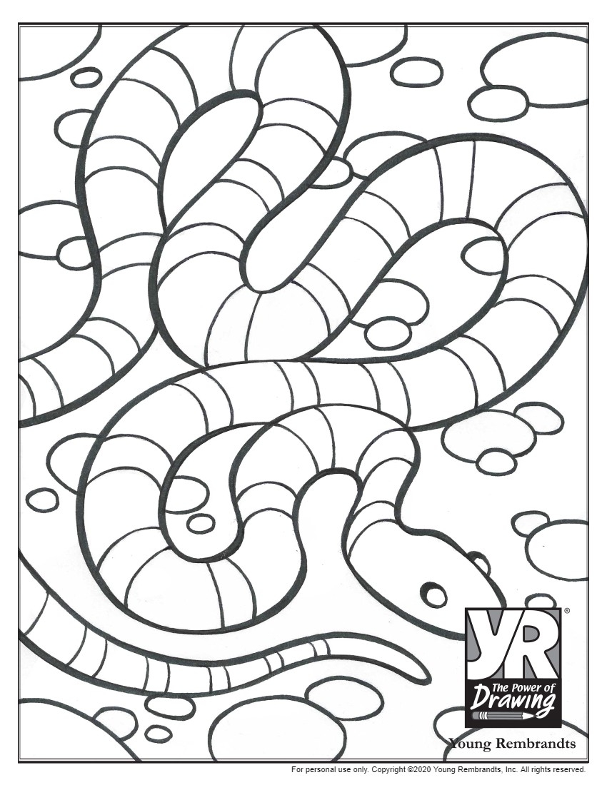 Snake Coloring Page Young Rembrandts Shop