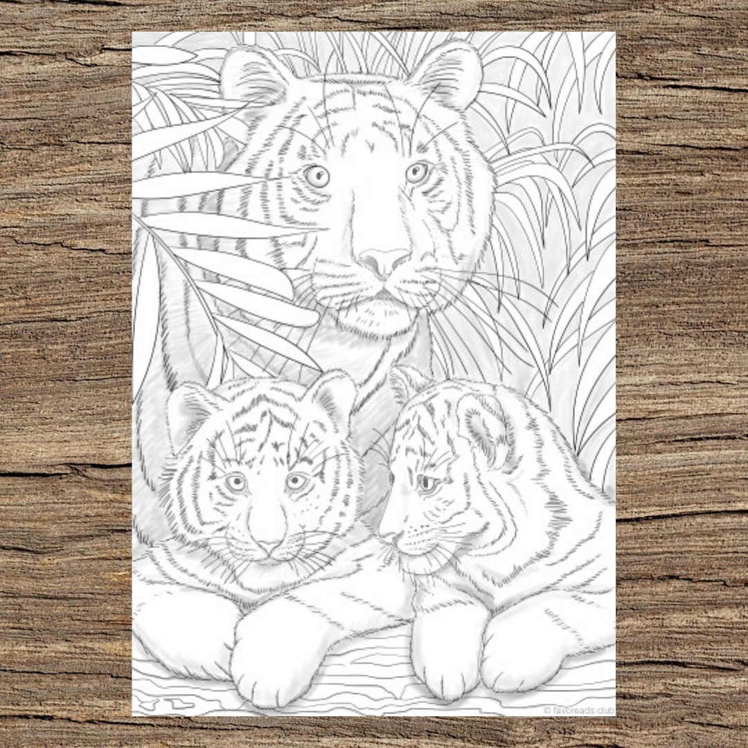 printable coloring pages tiger printable coloring pages tiger