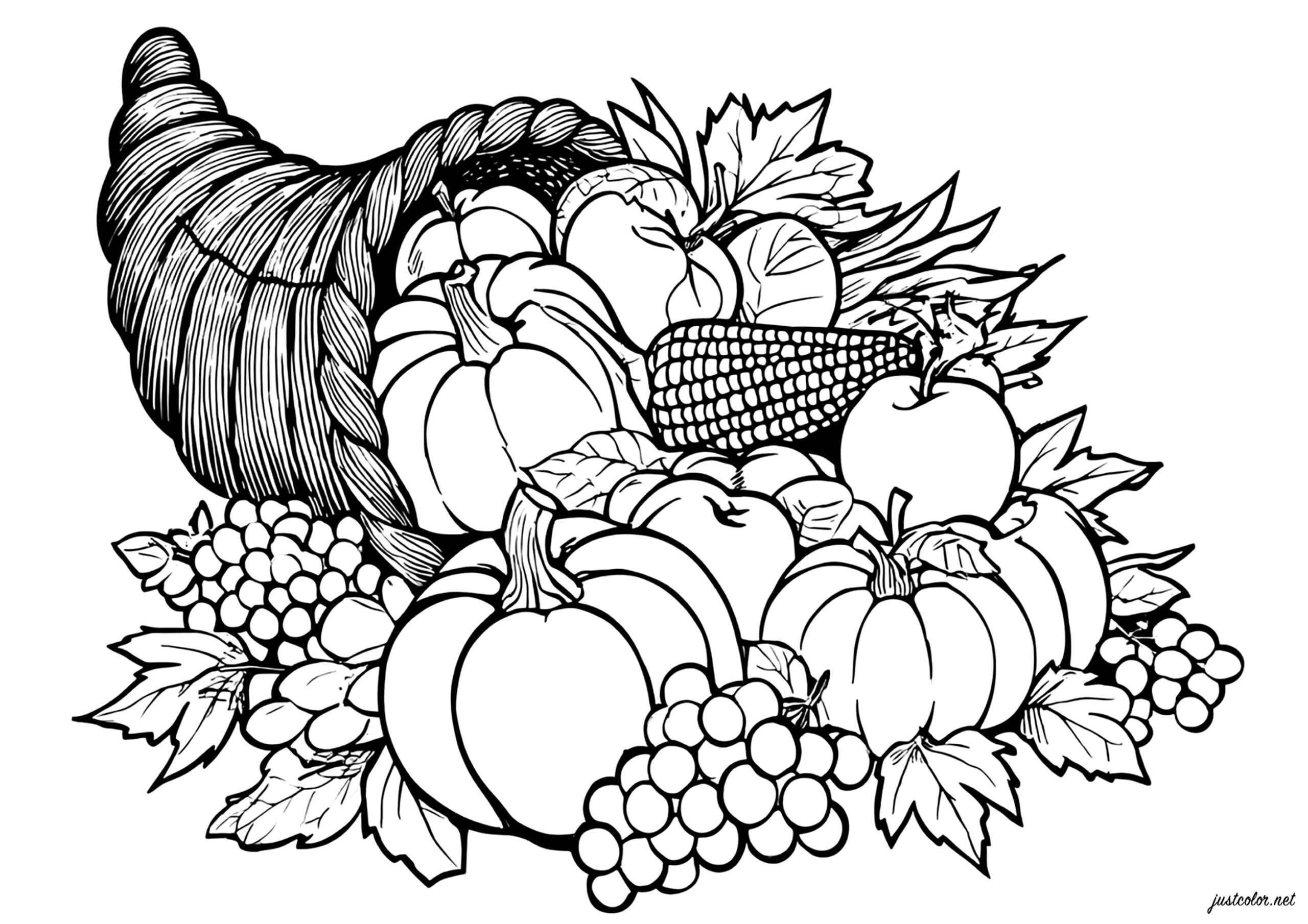 Varied Fruit Horn Of Plenty Thanksgiving Coloring Pages For Adults Varied Fruit Horn Of Plenty Thanksgiving Coloring Pages For Adults