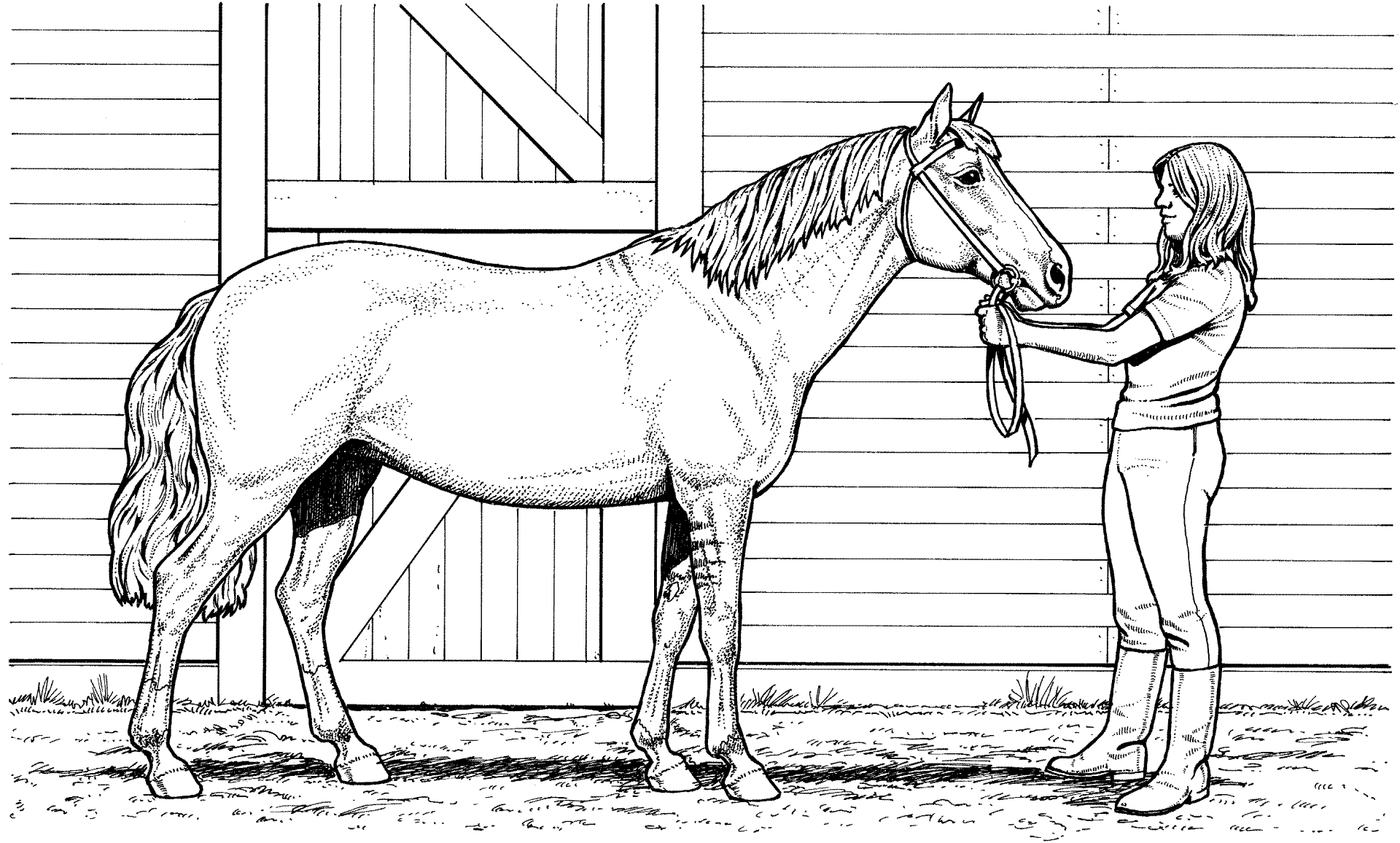 Woman And Mare Horse Coloring Page Free Printable